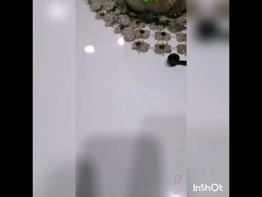 How Our Cat Reacts To Potato Chips