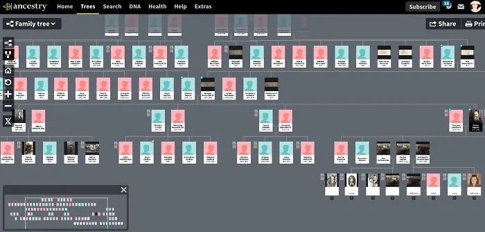 Genealogy - It Combines My Passion For Research And Organisation. Currently Have My Family Tracked Back To 17th Century, With Their Original Birth Certificates And All