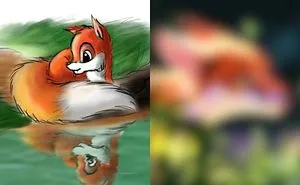 The Results Of Drawing Foxes For 8 Years