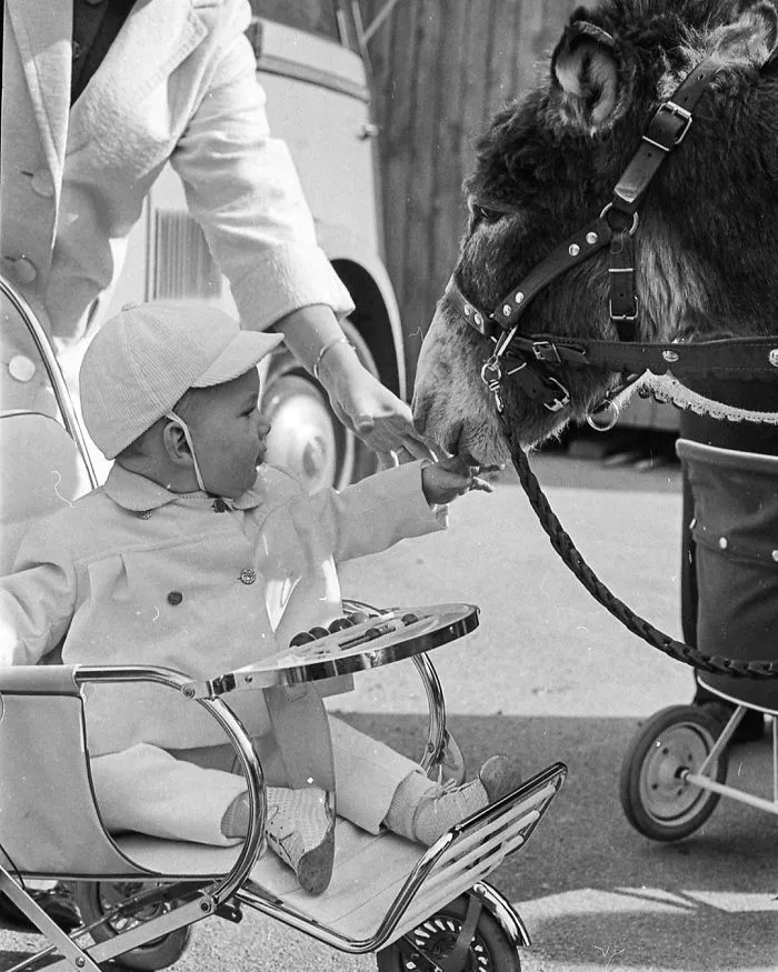 Grandson Inherits His Grandfather's Collection Of Unseen Street Photos Taken Over Half A Century Ago (30 Pics)