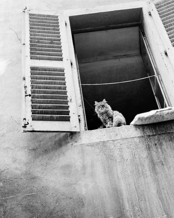 Grandson Inherits His Grandfather's Collection Of Unseen Street Photos Taken Over Half A Century Ago (30 Pics)