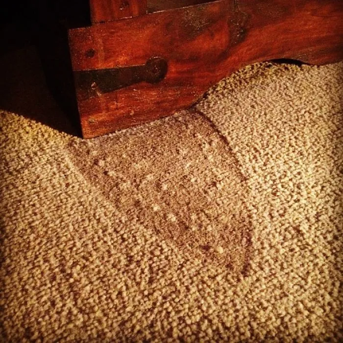 My House Is Littered With Evidence Of My Epic Housewife Skills. Stuff Like This
