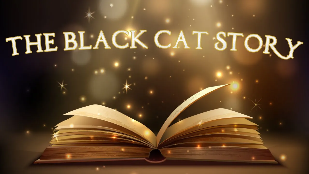 A Special Video For The International Black Cat Day.