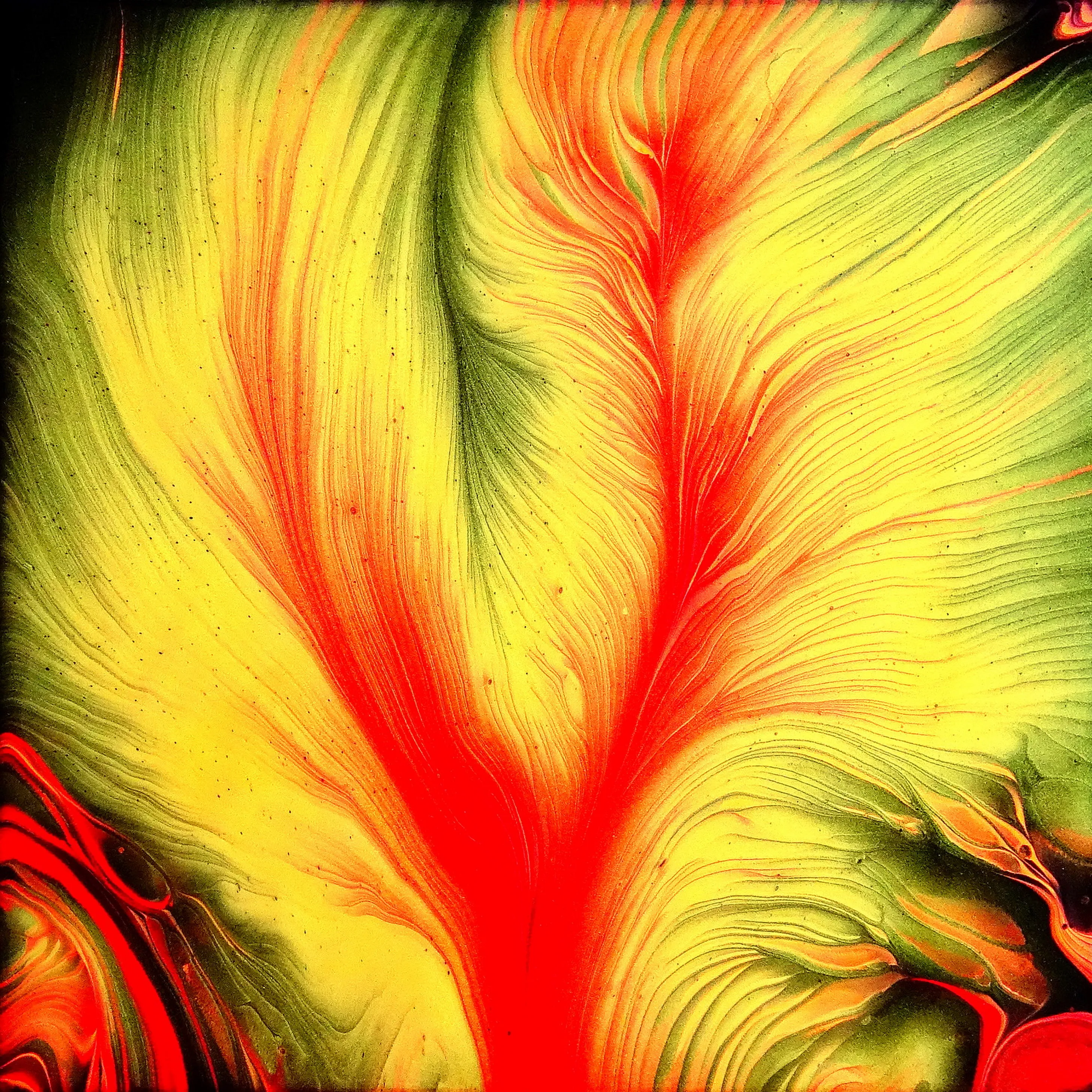 Tree Of Fire ~ Split Cup Acrylic Pour Painting ~ Spin Art ~ Straight Pour
