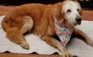 40 Wholesome Pics Of Good Old Boys That Are Too Cute For This World (New Pics)