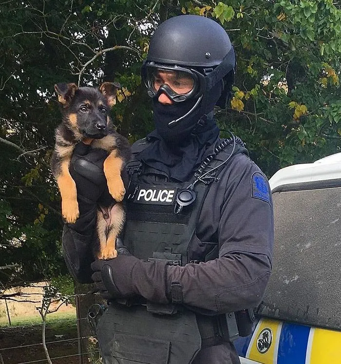 30 Times Police Puppies Tried To Act Tough But They Just Looked Adorable Instead