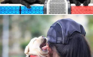 30 Times Police Puppies Tried To Act Tough But They Just Looked Adorable Instead