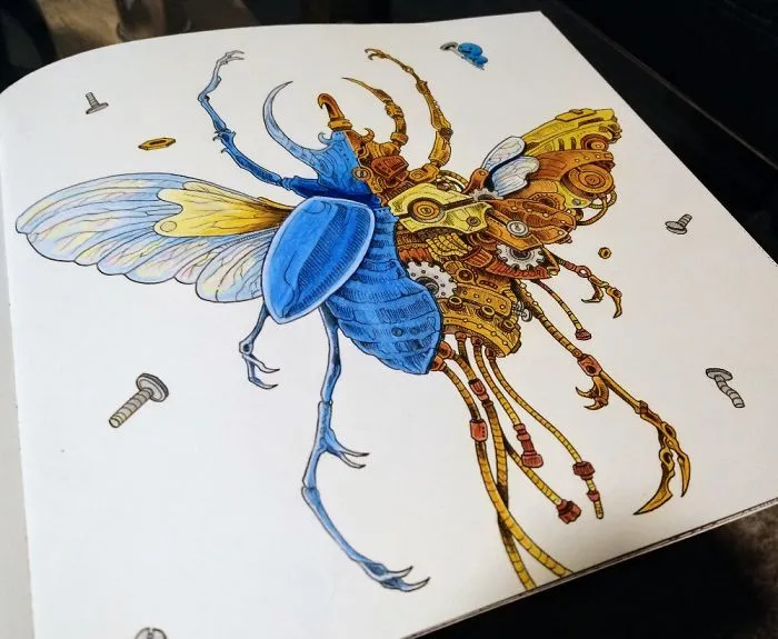 Adult Colouring Books. I Love To Colour!!