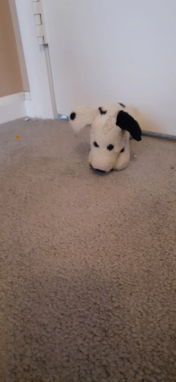 Pongo The Dalmation Named When I Was 2 After Seeing 101 Dalmations For The First Time
