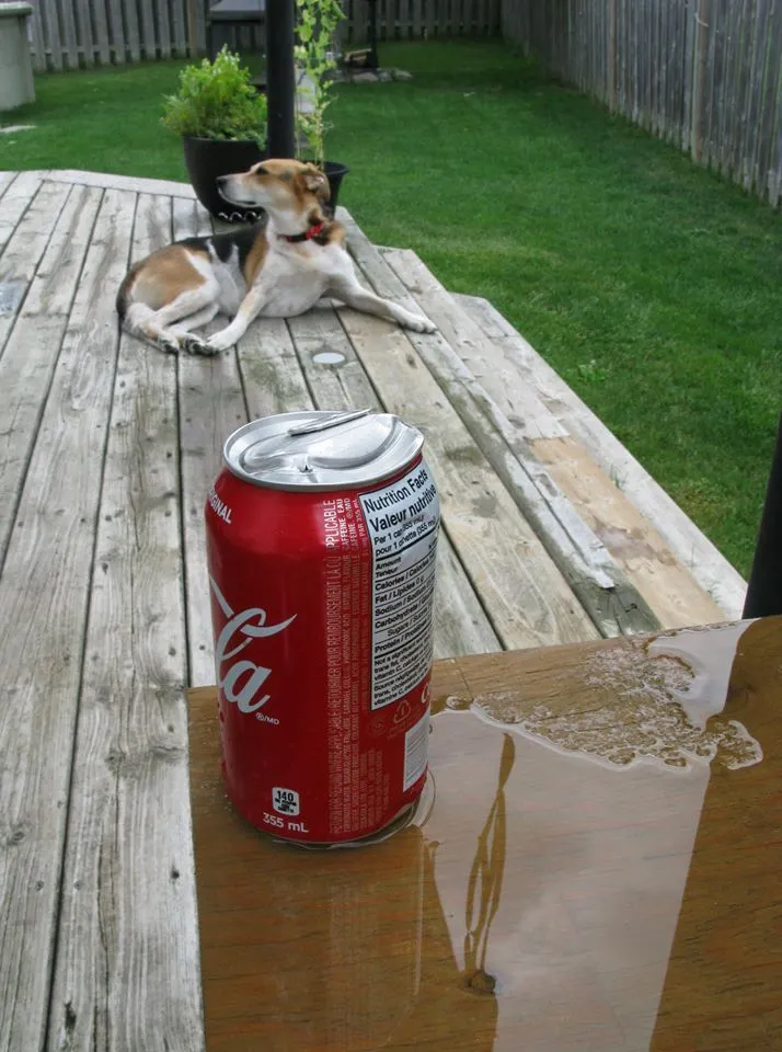 Coke For Covidtainment