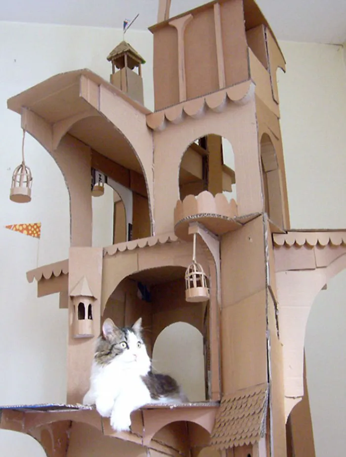 30 Times People Built Their Cats A Cardboard Fort And It's An Ecological Solution To Where To Put All The Boxes