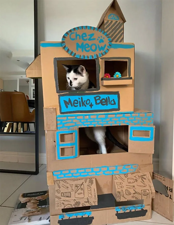 30 Times People Built Their Cats A Cardboard Fort And It's An Ecological Solution To Where To Put All The Boxes