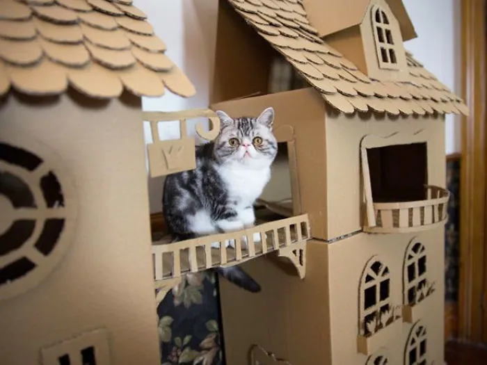 30 Times People Built Their Cats A Cardboard Fort And It's An Ecological Solution To Where To Put All The Boxes