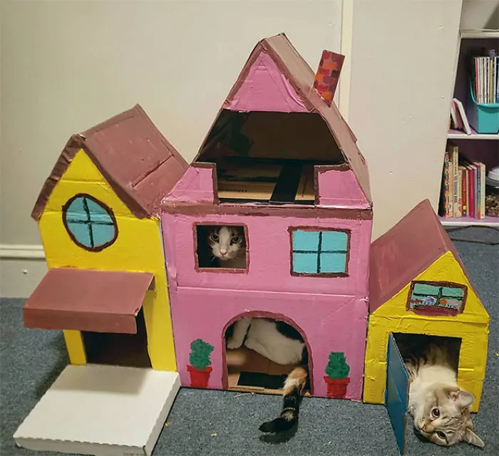 30 Times People Built Their Cats A Cardboard Fort And It's An Ecological Solution To Where To Put All The Boxes