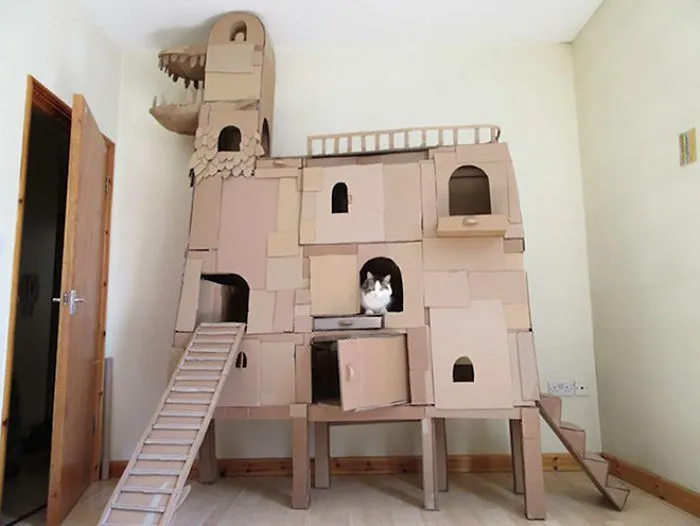 30 Times People Built Their Cats A Cardboard Fort And It's An Ecological Solution To Where To Put All The Boxes