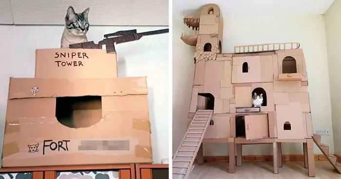 30 Times People Built Their Cats A Cardboard Fort And It's An Ecological Solution To Where To Put All The Boxes
