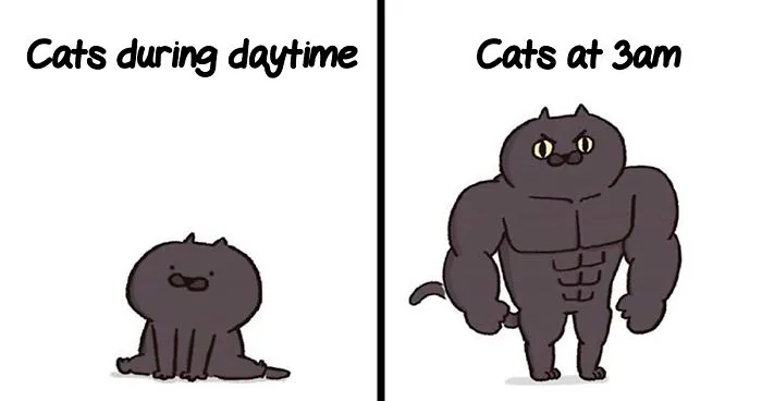 5 Untold Struggles Of Having A Cat