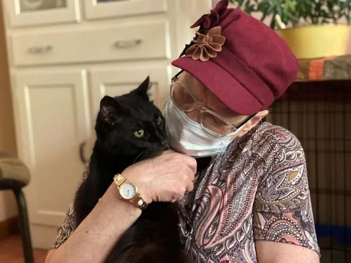 Este gato de 17 años vuelve a casa tras 10 años ausente