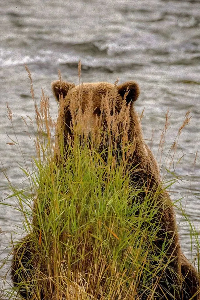 I  Had This Strange Feeling I Was Being Watched....
