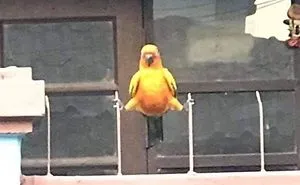 This Facebook Group Is All About Crappy Wildlife Photos And They Are So Bad They're Good (50 Pics)