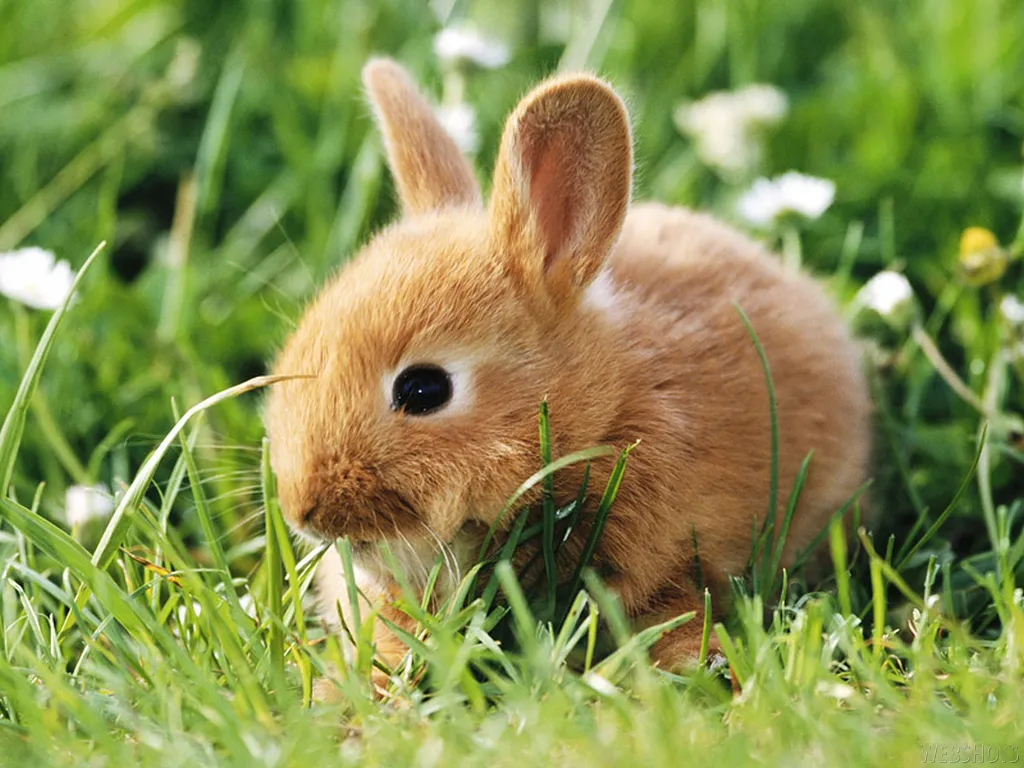 How Cute Is This