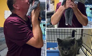 50 Most Wholesome Rescue Pet Photos Of The Month (August Edition)