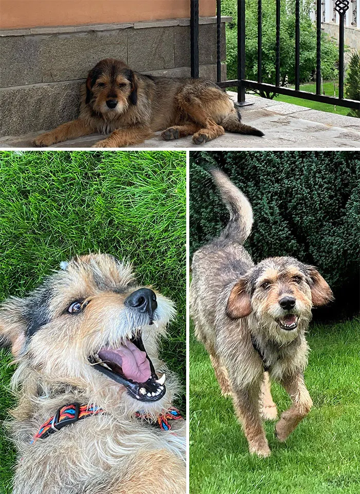 Charlie Before And After His Adoption