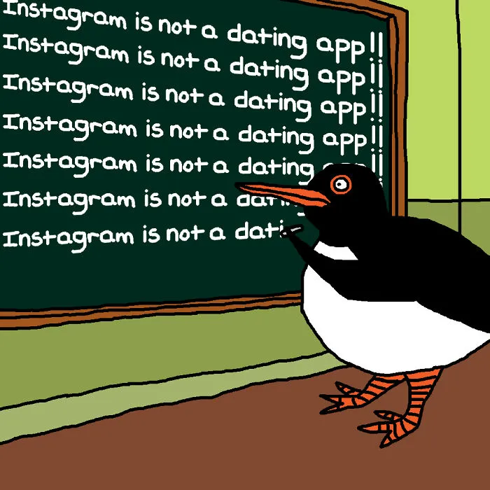 Lardy Oystercatcher Needs To Learn To Not DM Strangers With "Hey" Fourteen Times Then "Whats Up"