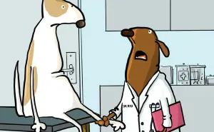 I Illustrate The Life And Secret Thoughts Of Dogs (18 Comics)