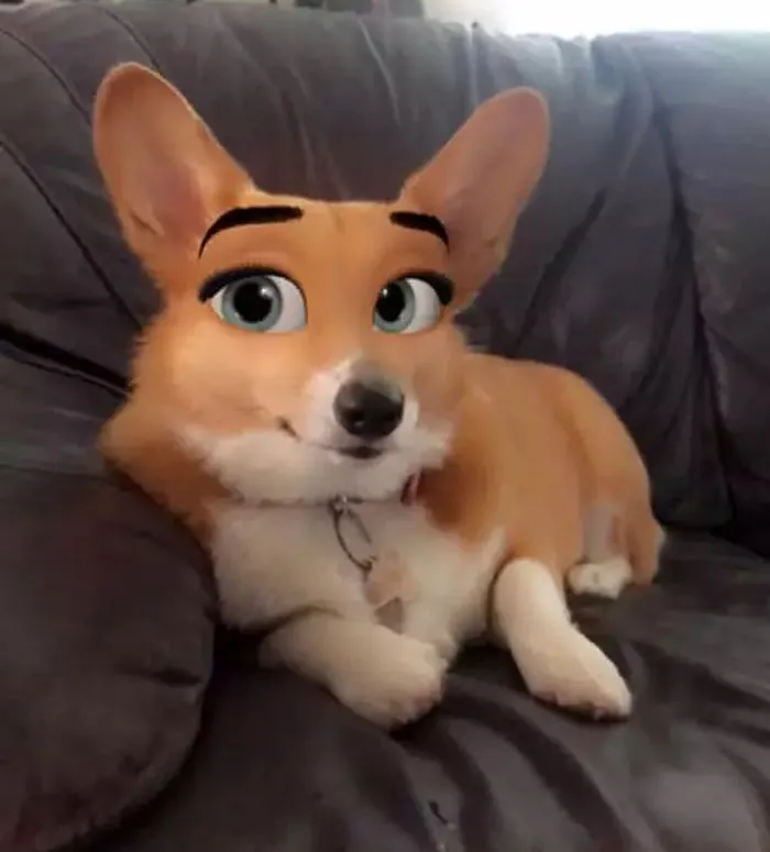 This New Snapchat Filter Makes Your Dog Look Like A Disney Character And Here Are 30 Of The Best Results