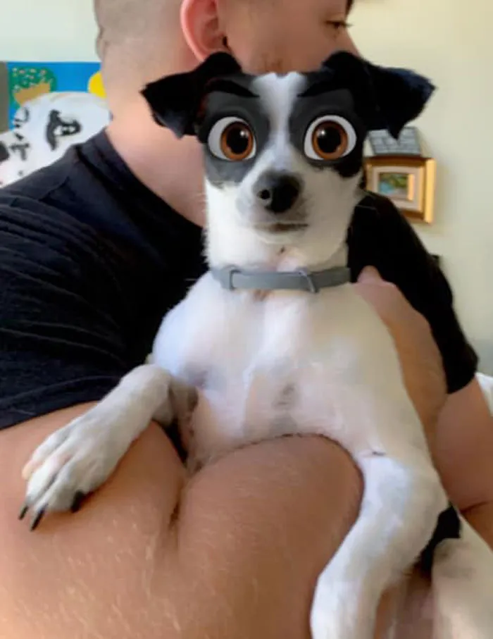 Este filtro de Snapchat hace que tu perro parezca un personaje Disney, y aquí tienes 30 de los mejores resultados