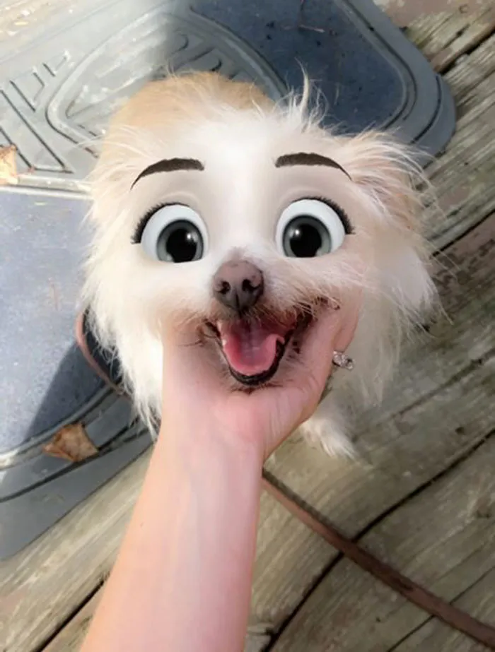 Este filtro de Snapchat hace que tu perro parezca un personaje Disney, y aquí tienes 30 de los mejores resultados