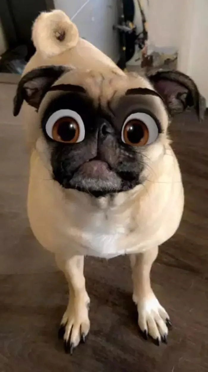 This New Snapchat Filter Makes Your Dog Look Like A Disney Character And Here Are 30 Of The Best Results