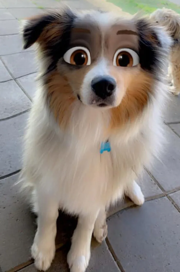 Este filtro de Snapchat hace que tu perro parezca un personaje Disney, y aquí tienes 30 de los mejores resultados