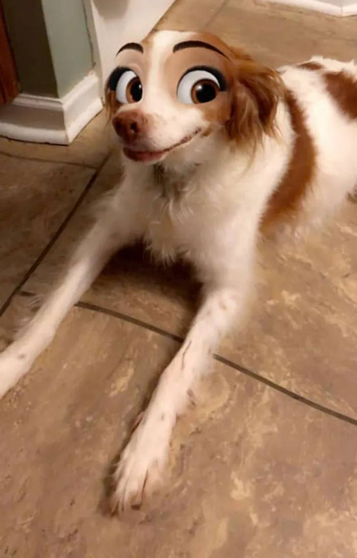 Este filtro de Snapchat hace que tu perro parezca un personaje Disney, y aquí tienes 30 de los mejores resultados