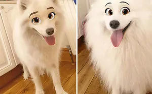 This New Snapchat Filter Makes Your Dog Look Like A Disney Character And Here Are 30 Of The Best Results