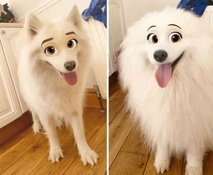 This New Snapchat Filter Makes Your Dog Look Like A Disney Character And Here Are 30 Of The Best Results