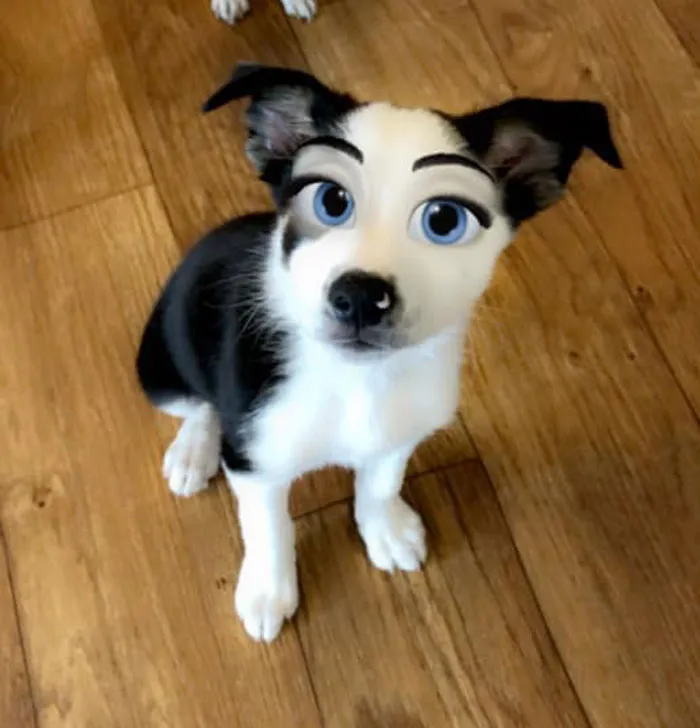 This New Snapchat Filter Makes Your Dog Look Like A Disney Character And Here Are 30 Of The Best Results