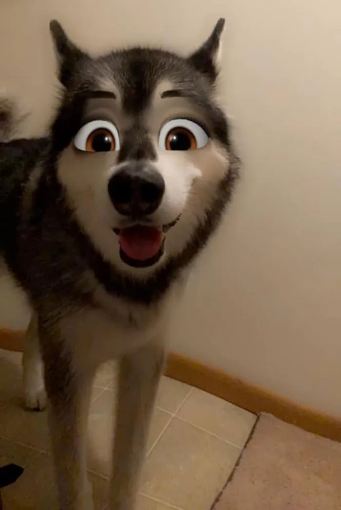 Este filtro de Snapchat hace que tu perro parezca un personaje Disney, y aquí tienes 30 de los mejores resultados