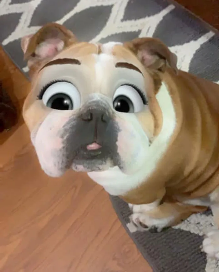 Este filtro de Snapchat hace que tu perro parezca un personaje Disney, y aquí tienes 30 de los mejores resultados