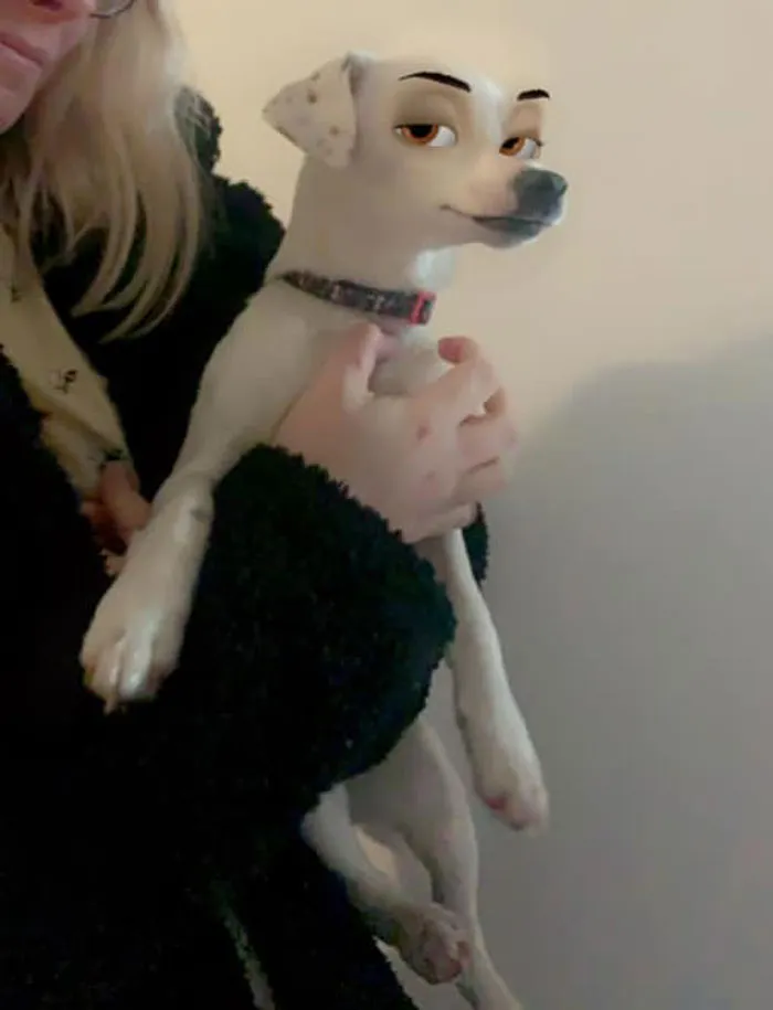 This New Snapchat Filter Makes Your Dog Look Like A Disney Character And Here Are 30 Of The Best Results
