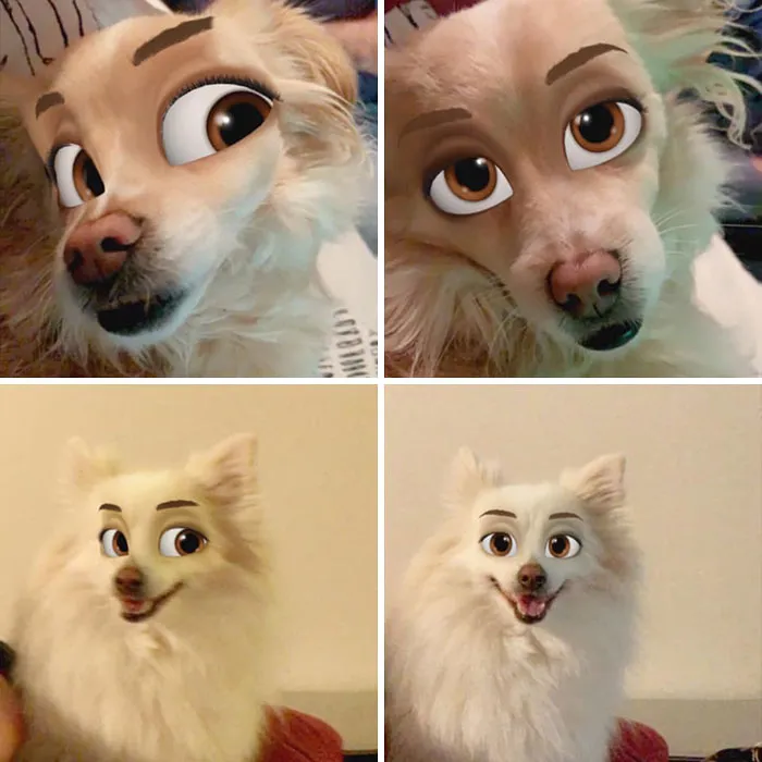 This New Snapchat Filter Makes Your Dog Look Like A Disney Character And Here Are 30 Of The Best Results