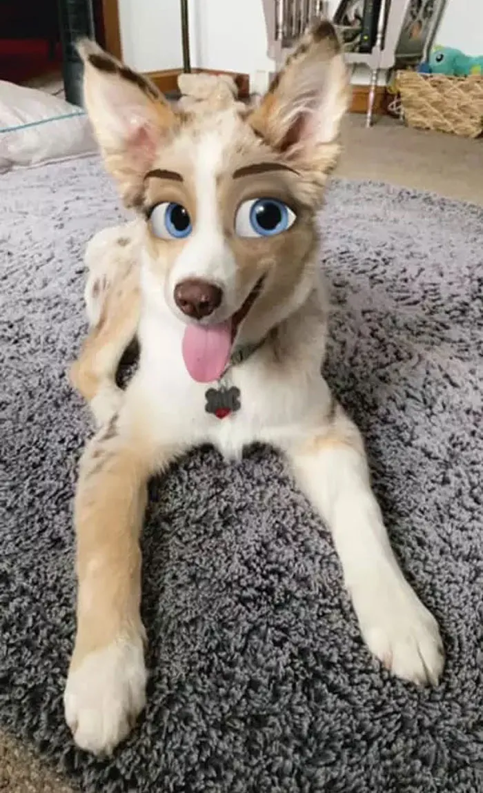This New Snapchat Filter Makes Your Dog Look Like A Disney Character And Here Are 30 Of The Best Results