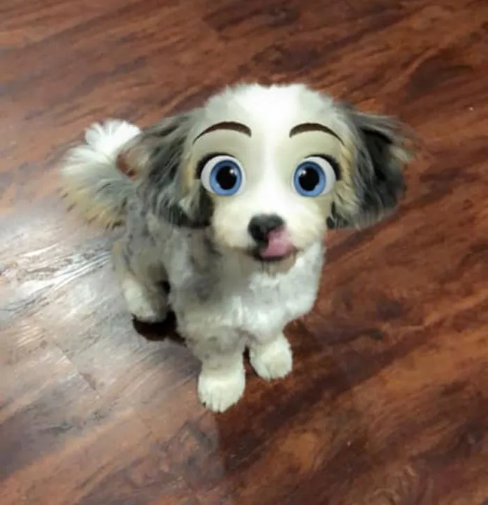 This New Snapchat Filter Makes Your Dog Look Like A Disney Character And Here Are 30 Of The Best Results