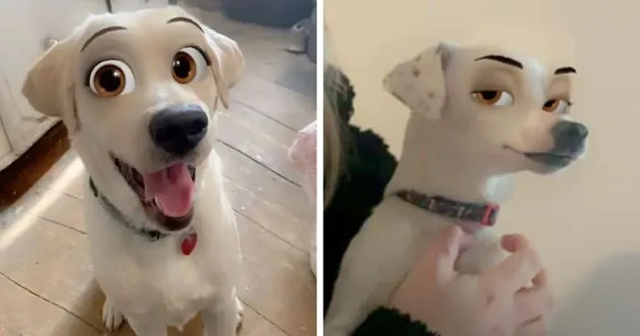 This New Snapchat Filter Makes Your Dog Look Like A Disney Character And Here Are 30 Of The Best Results