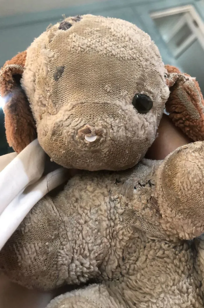 Meet Doggie. My Best Friend & Soul Buddy Since I Was 18 Months. Birthday Gift From Dad