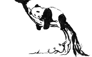 I Paint A Dragon And Panda As Best Friends To Spread Some Love And Self-Acceptance (29 Pics)
