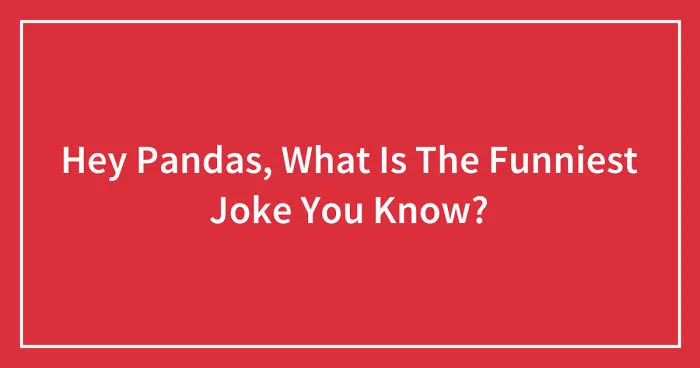 Hey Pandas, What Is The Funniest Joke You Know? (Closed)
