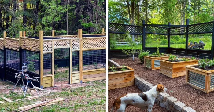 We Built Our Dream Garden In 3 Months For Our 200 Year Old House