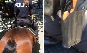 50 Funny Animal Posts That Will Leave You With The Biggest Smile